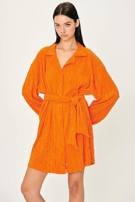 Sandra Plisse Shirt Dress